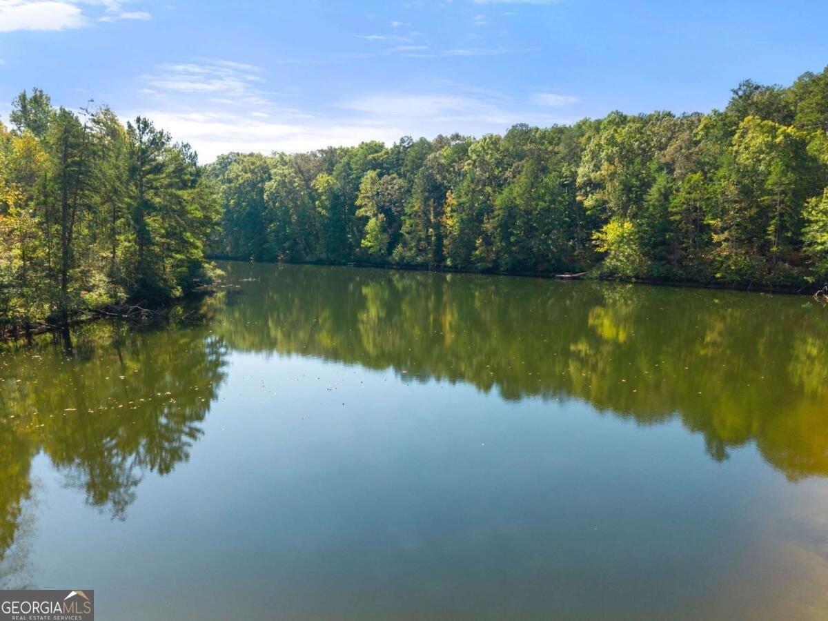 364 Talona Lake Terrace Ellijay - Photo 48