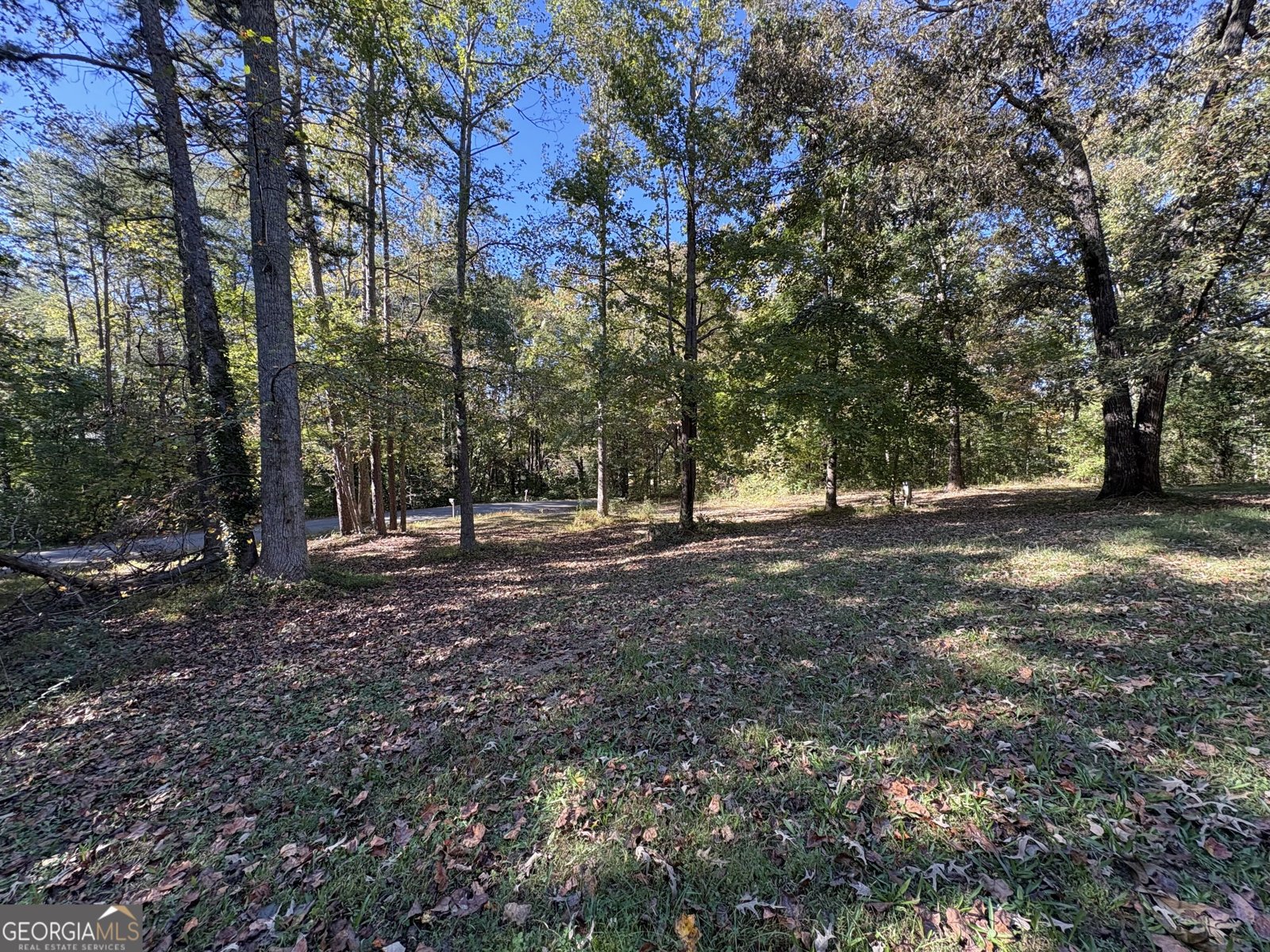 227 Lancelot Road Dahlonega - Photo 30