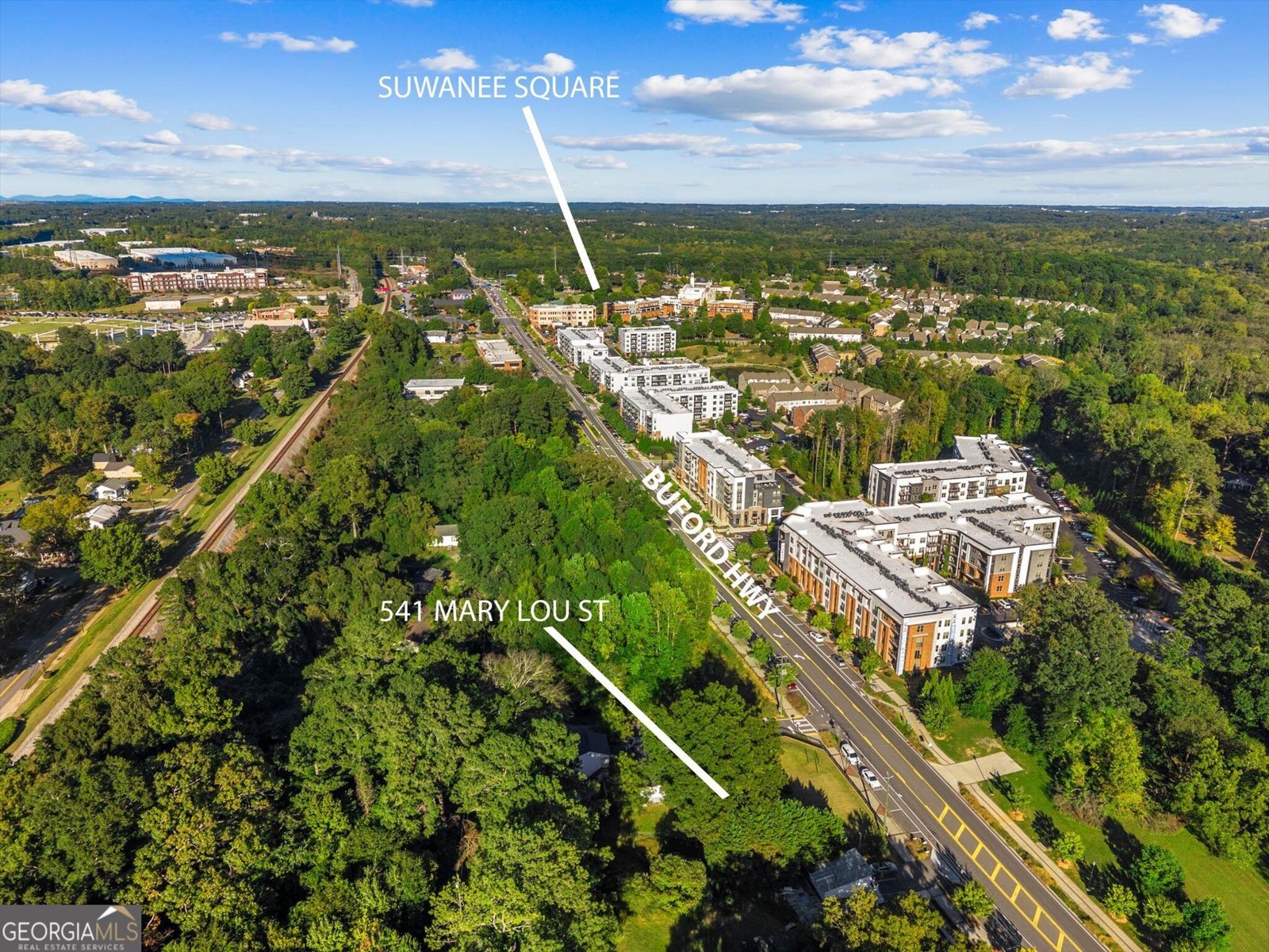 541 Mary Lou Street Suwanee - Photo 19