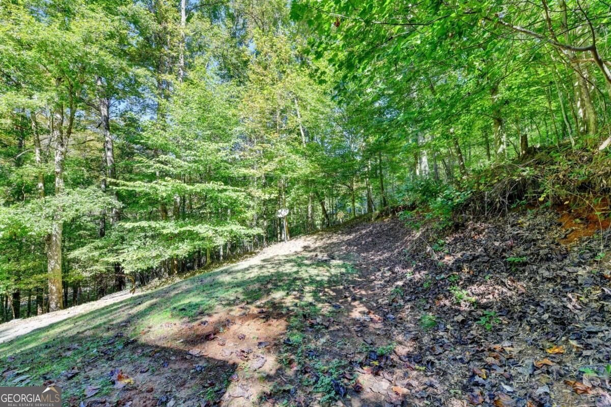 148 Chestatee Drive Dahlonega - Photo 20