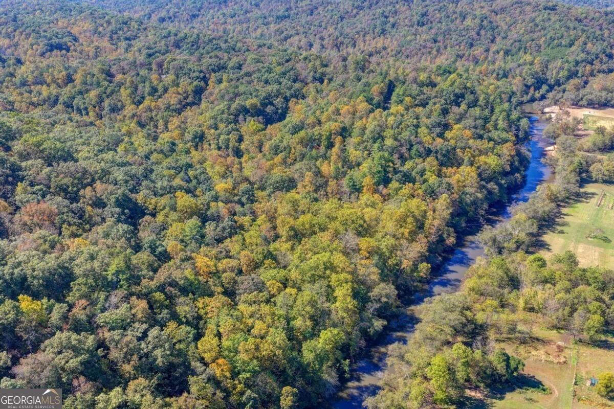 148 Chestatee Drive Dahlonega - Photo 22