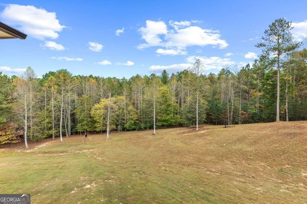 1424 Ridge Pointe Way Blairsville - Photo 10