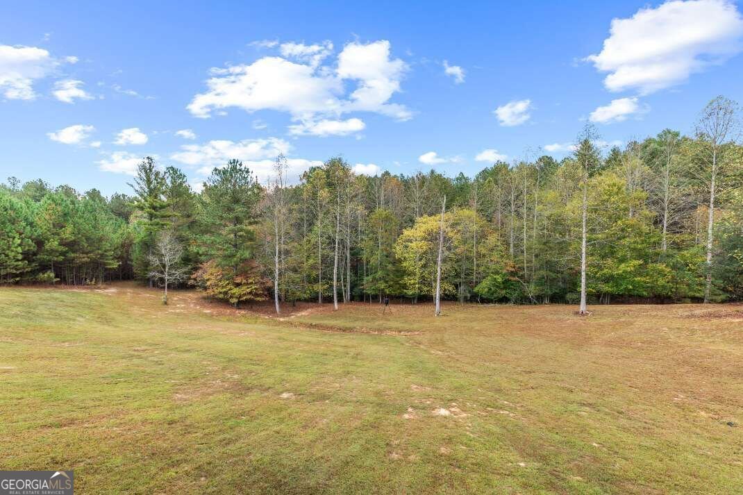 1424 Ridge Pointe Way Blairsville - Photo 30