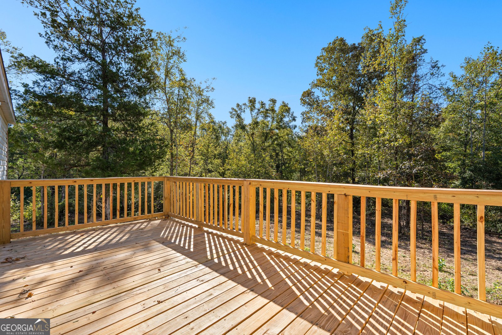 121 Oak Grove Talbotton - Photo 38