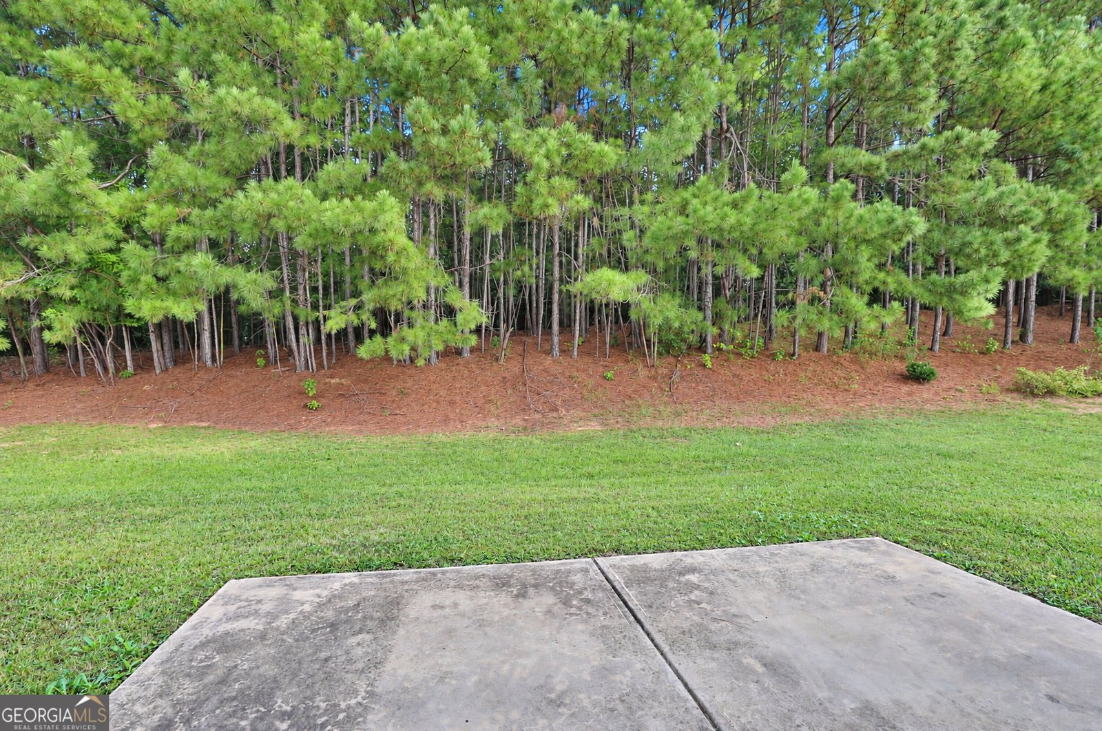 862 Crescent Lane Griffin - Photo 28