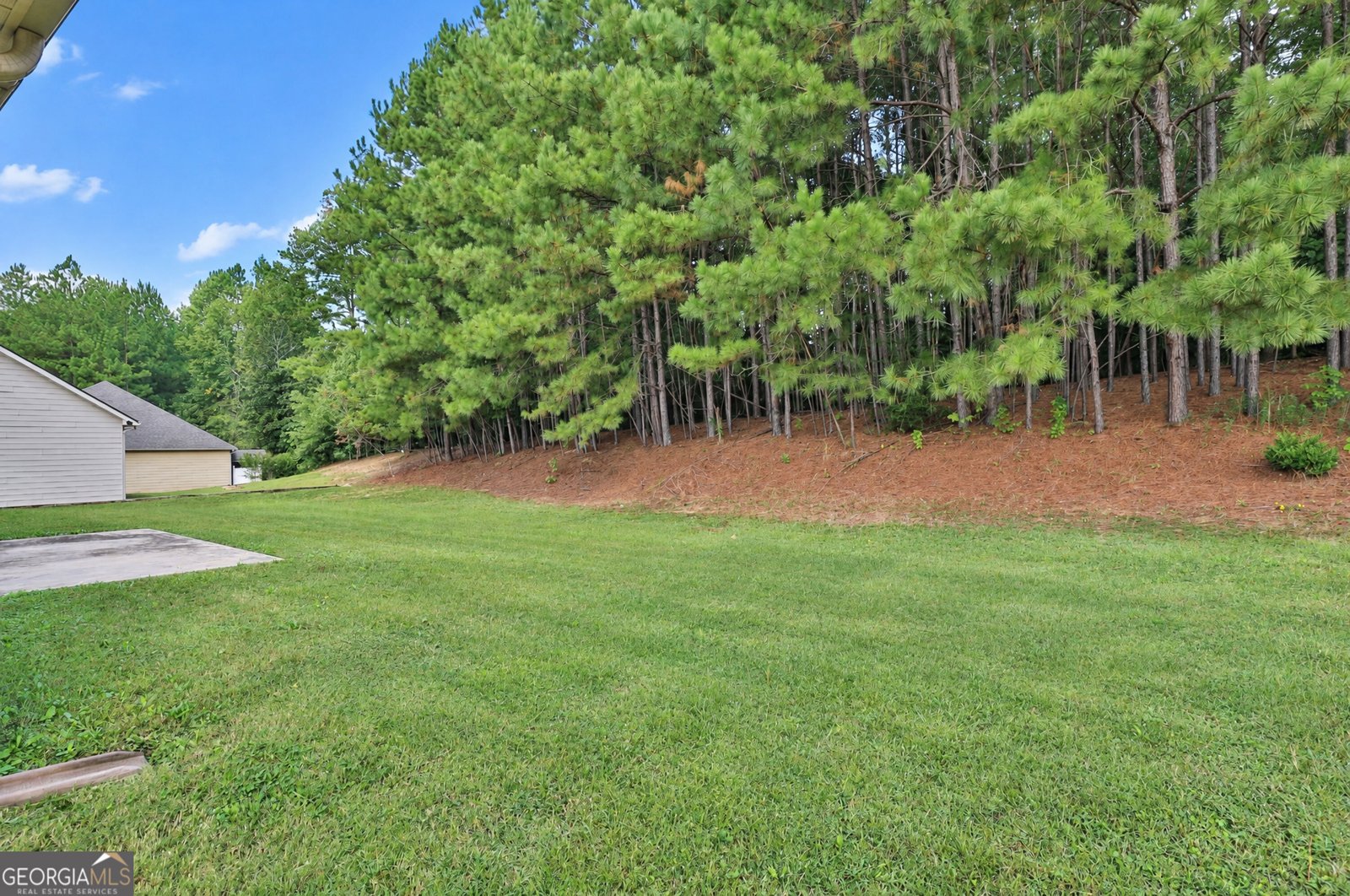 862 Crescent Lane Griffin - Photo 30