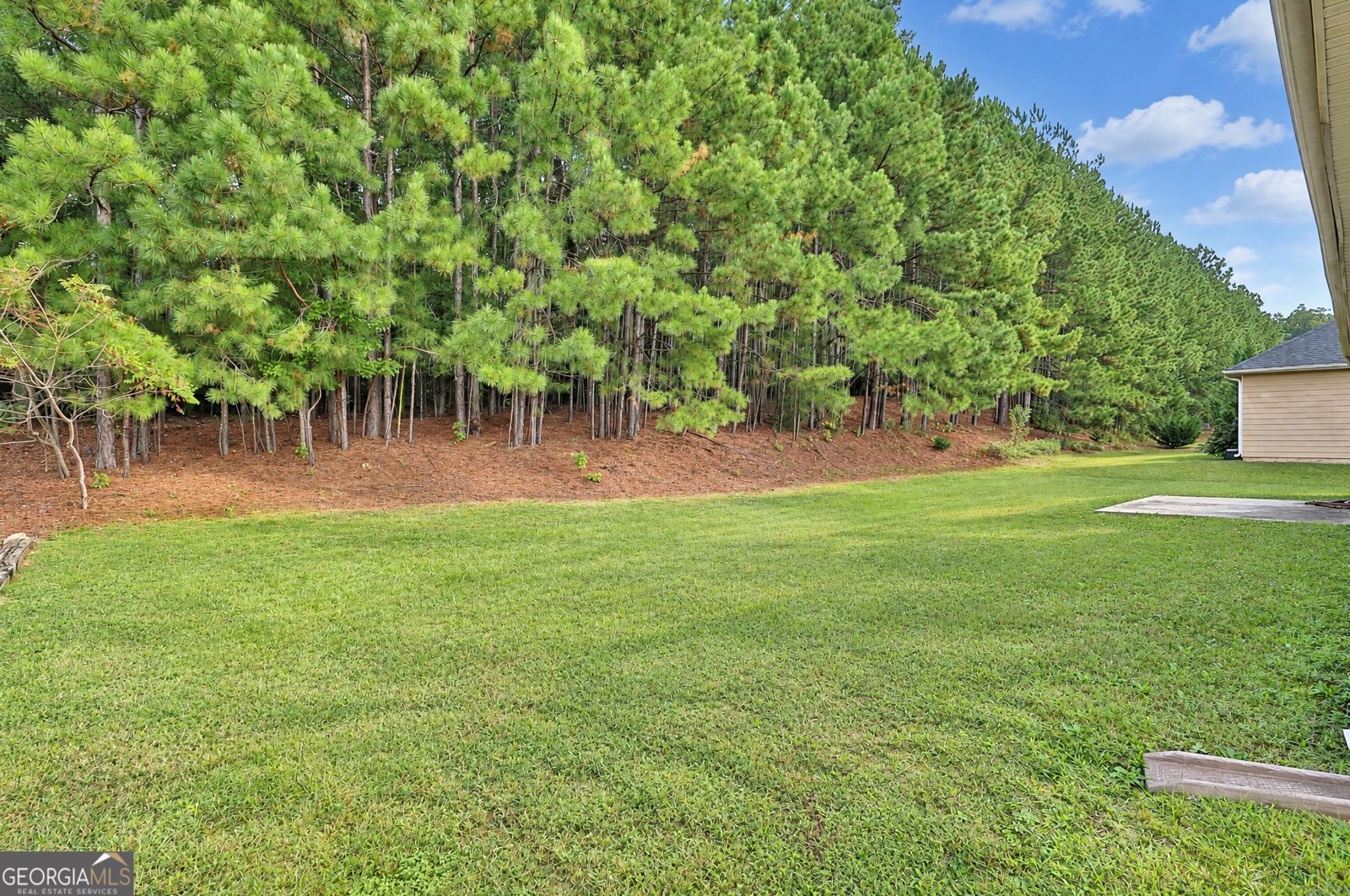 862 Crescent Lane Griffin - Photo 33