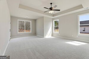 216 Tattersall Way Senoia - Photo 33