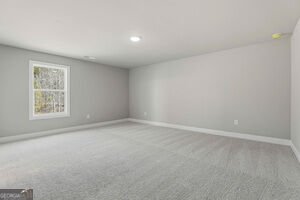 216 Tattersall Way Senoia - Photo 41