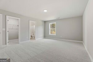 216 Tattersall Way Senoia - Photo 42