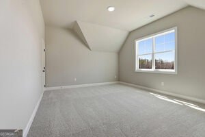 216 Tattersall Way Senoia - Photo 44