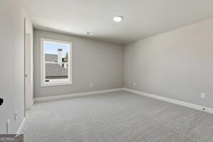 216 Tattersall Way Senoia - Photo 47