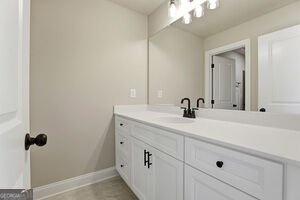 216 Tattersall Way Senoia - Photo 48