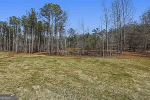 216 Tattersall Way Senoia - Photo 52