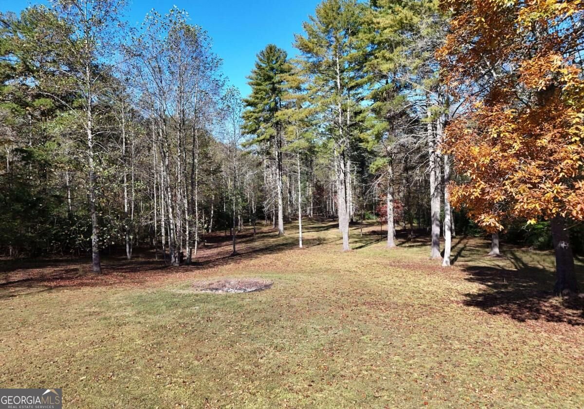 407 Highland Trace Blairsville - Photo 48