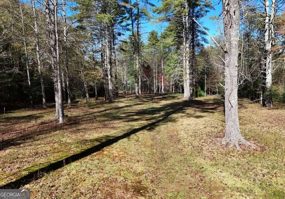 407 Highland Trace Blairsville - Photo 50