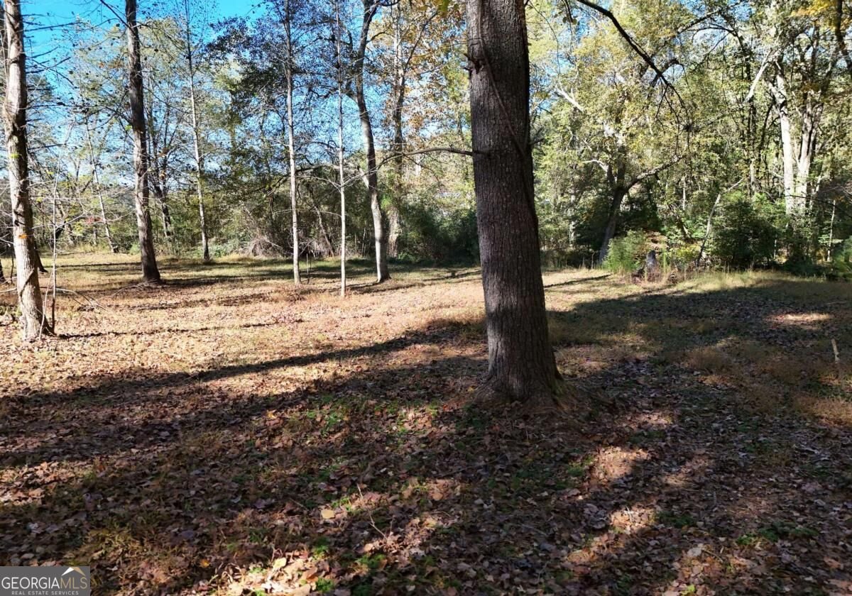 407 Highland Trace Blairsville - Photo 51