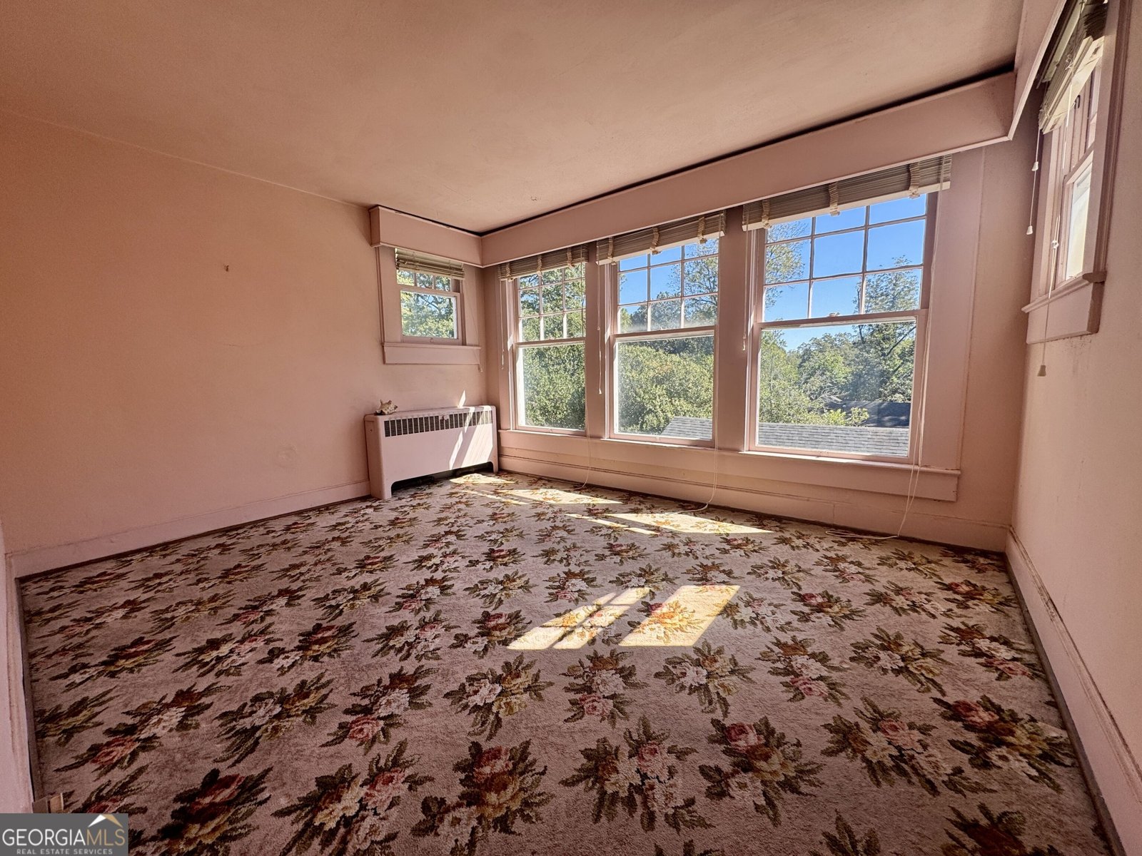 1405 Vernon Street Lagrange - Photo 14