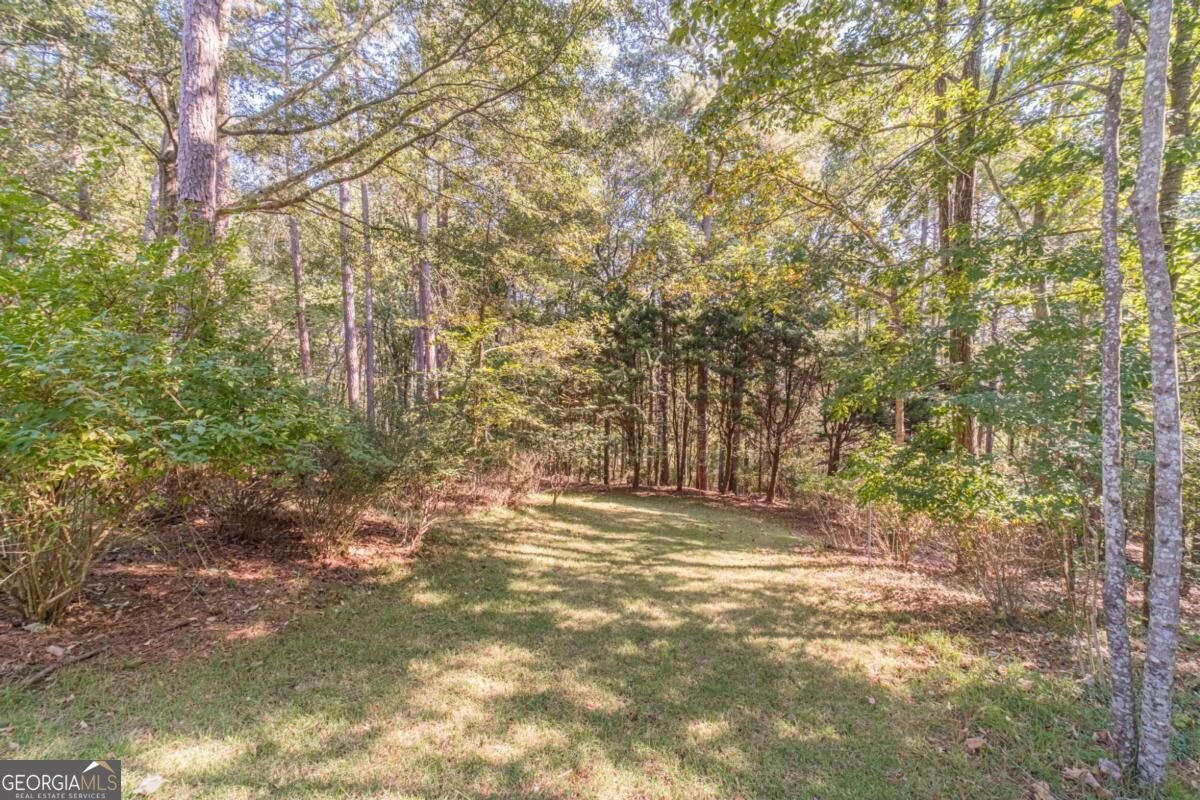 2289 Cedar Lake Drive Loganville - Photo 51