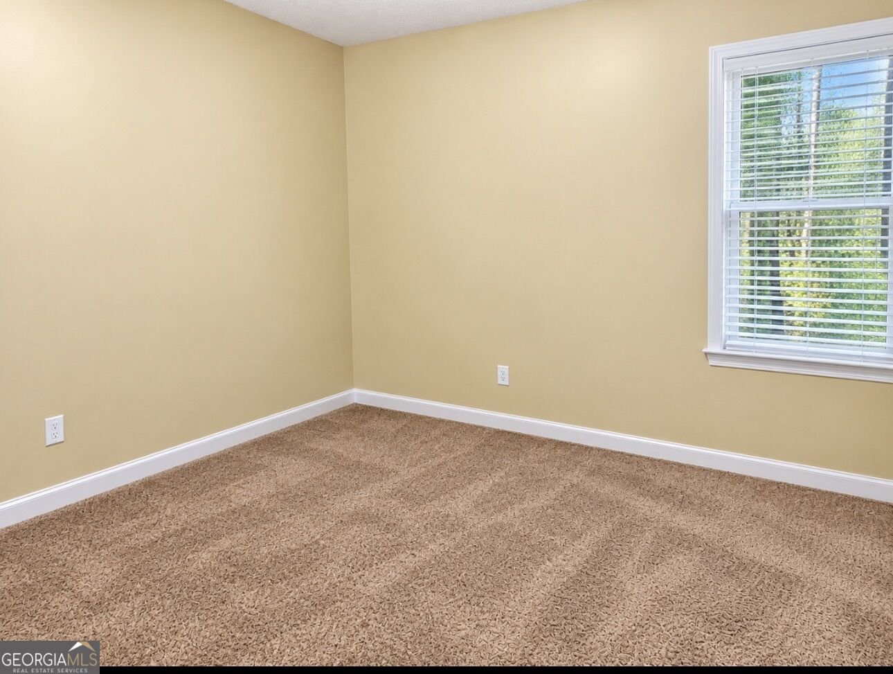 330 Kendall Lane Carrollton - Photo 13