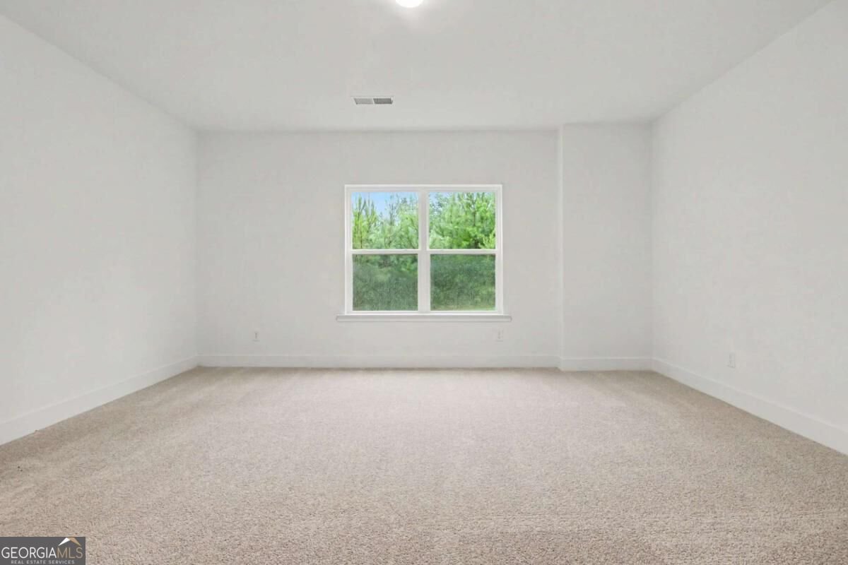 261 Thunder Valley Dawsonville - Photo 20