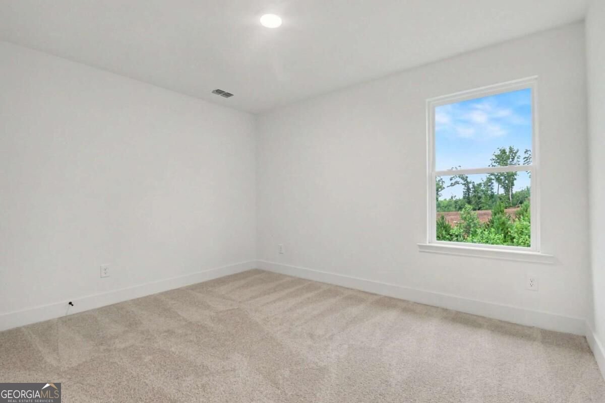 261 Thunder Valley Dawsonville - Photo 24