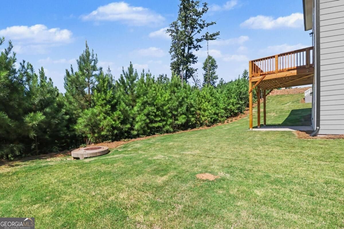 261 Thunder Valley Dawsonville - Photo 40