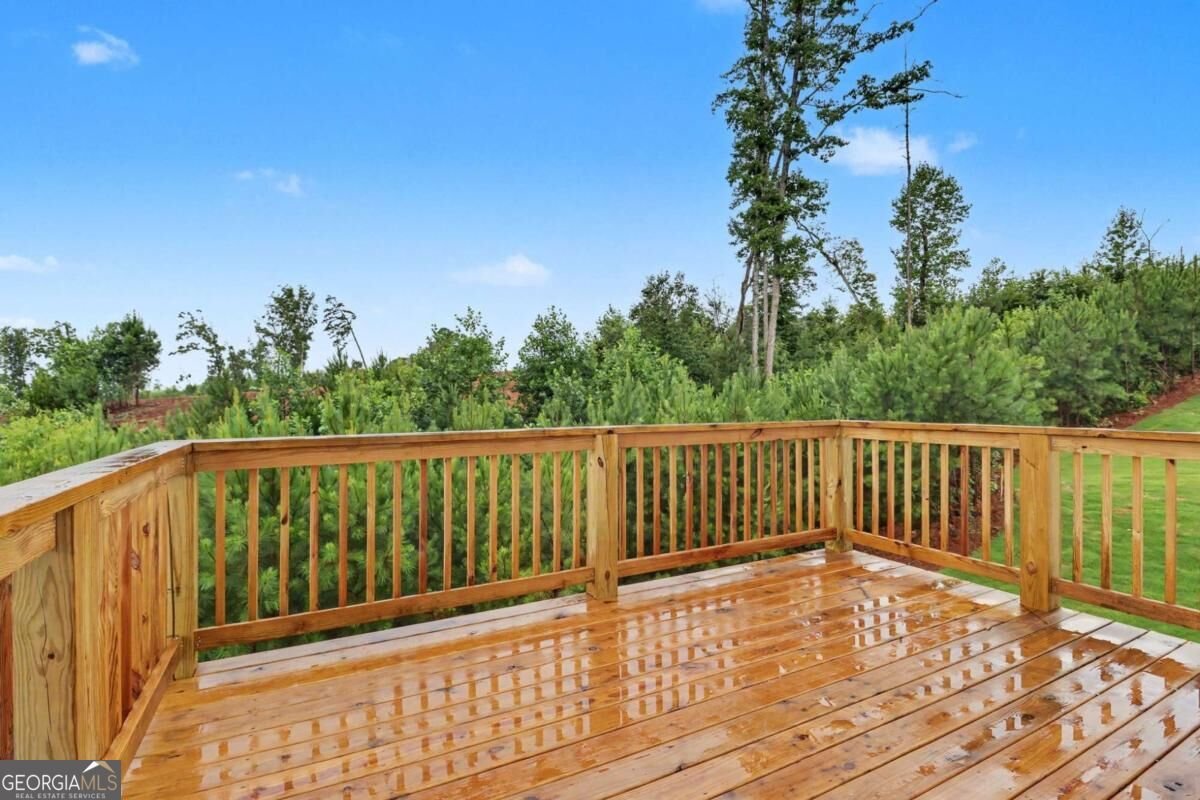 261 Thunder Valley Dawsonville - Photo 44