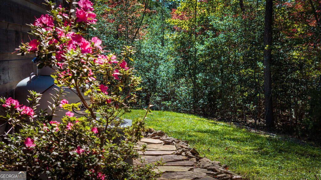 329 Autumn Ridge Drive Mineral Bluff - Photo 33