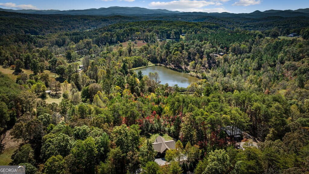 329 Autumn Ridge Drive Mineral Bluff - Photo 54