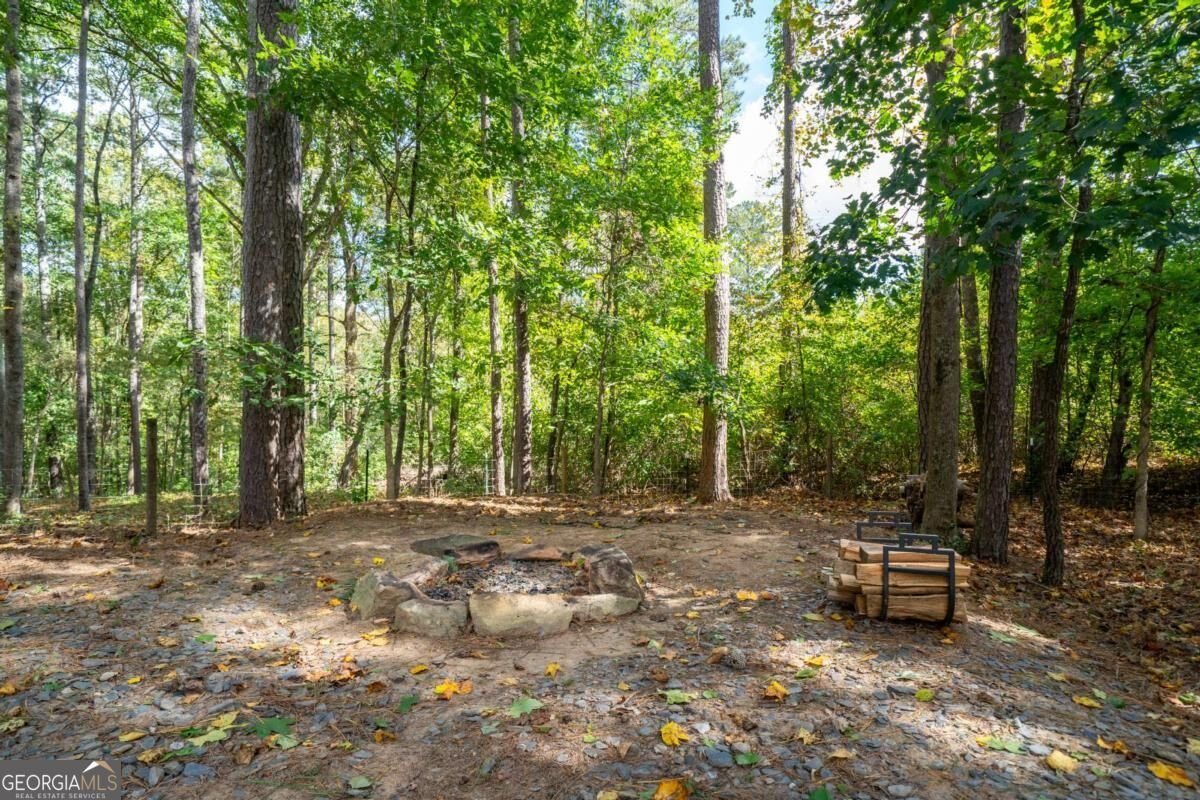 290 Sadler Dr Douglasville - Photo 40