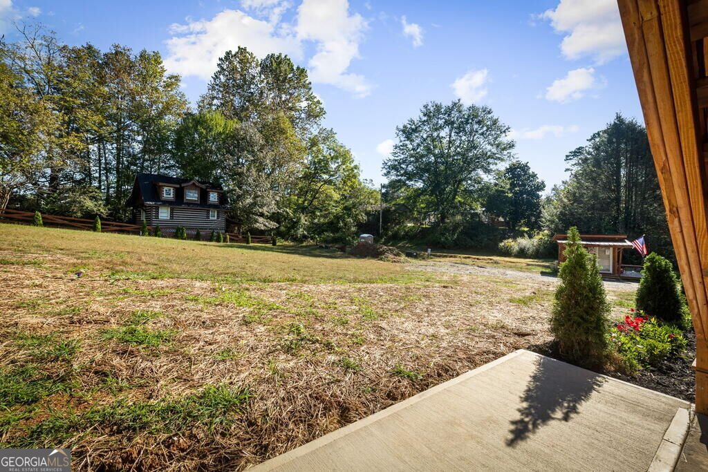 503 Church Street Blue Ridge - Photo 67