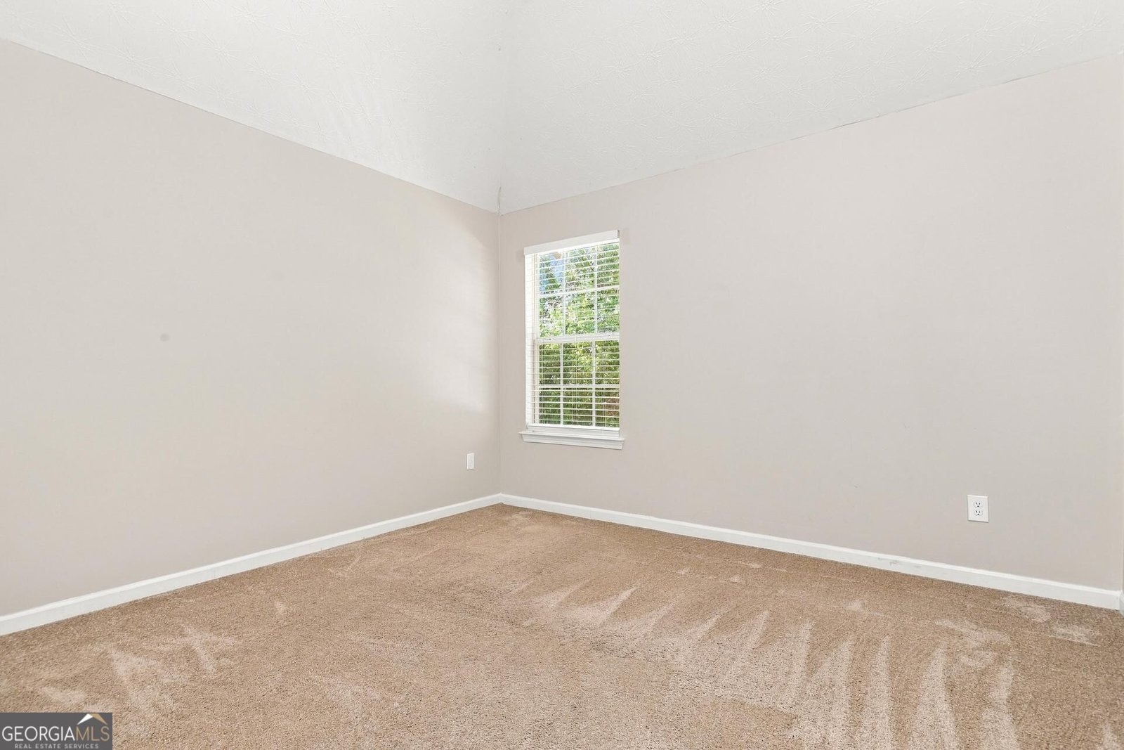 1061 Ivey Lane McDonough - Photo 13