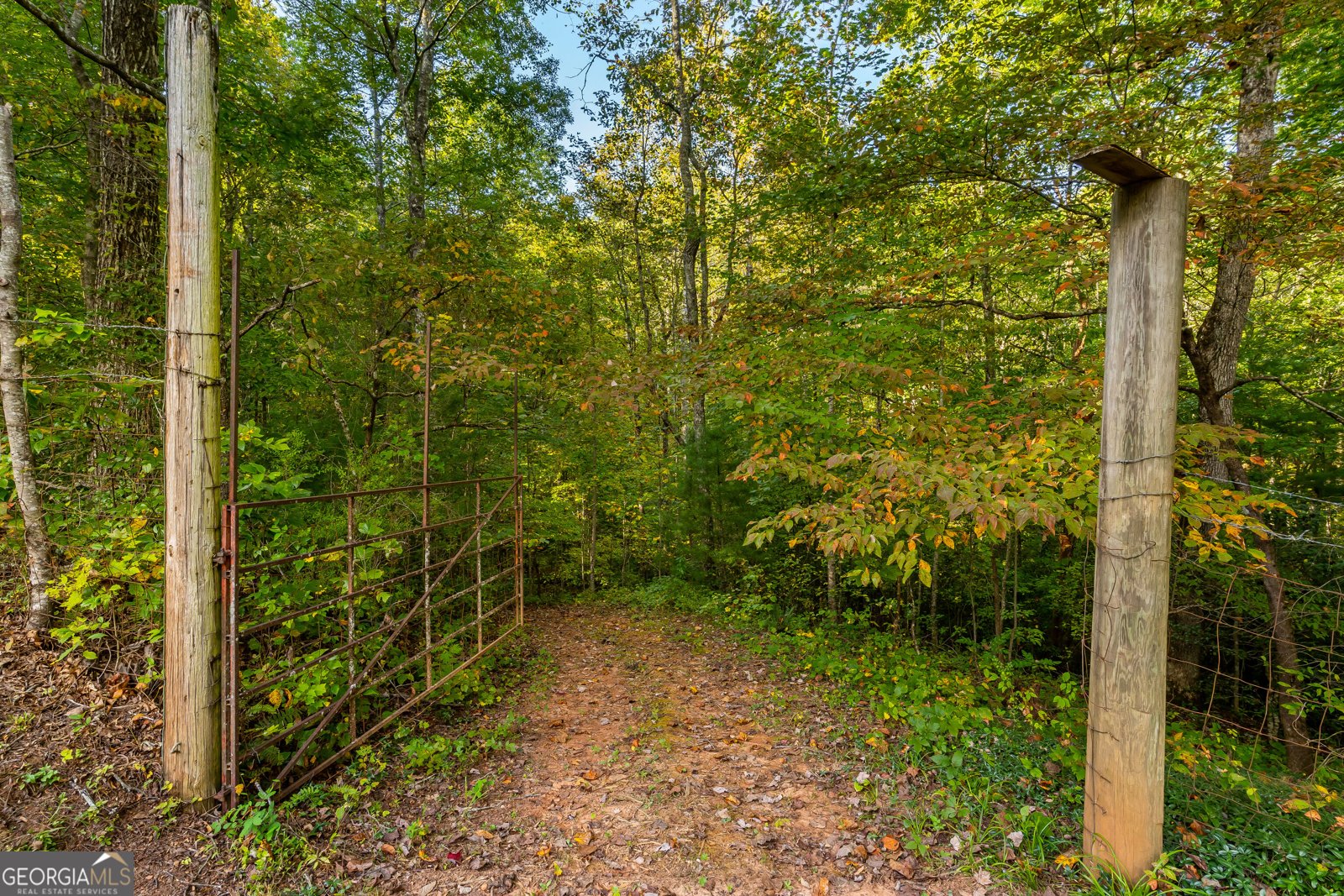 887 Whitecliff Drive Ellijay - Photo 48