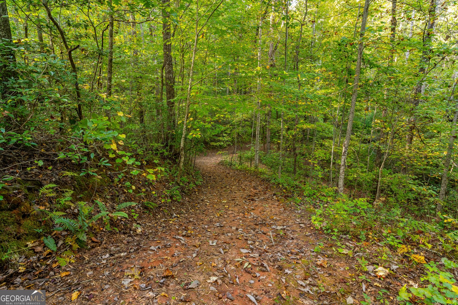 887 Whitecliff Drive Ellijay - Photo 49