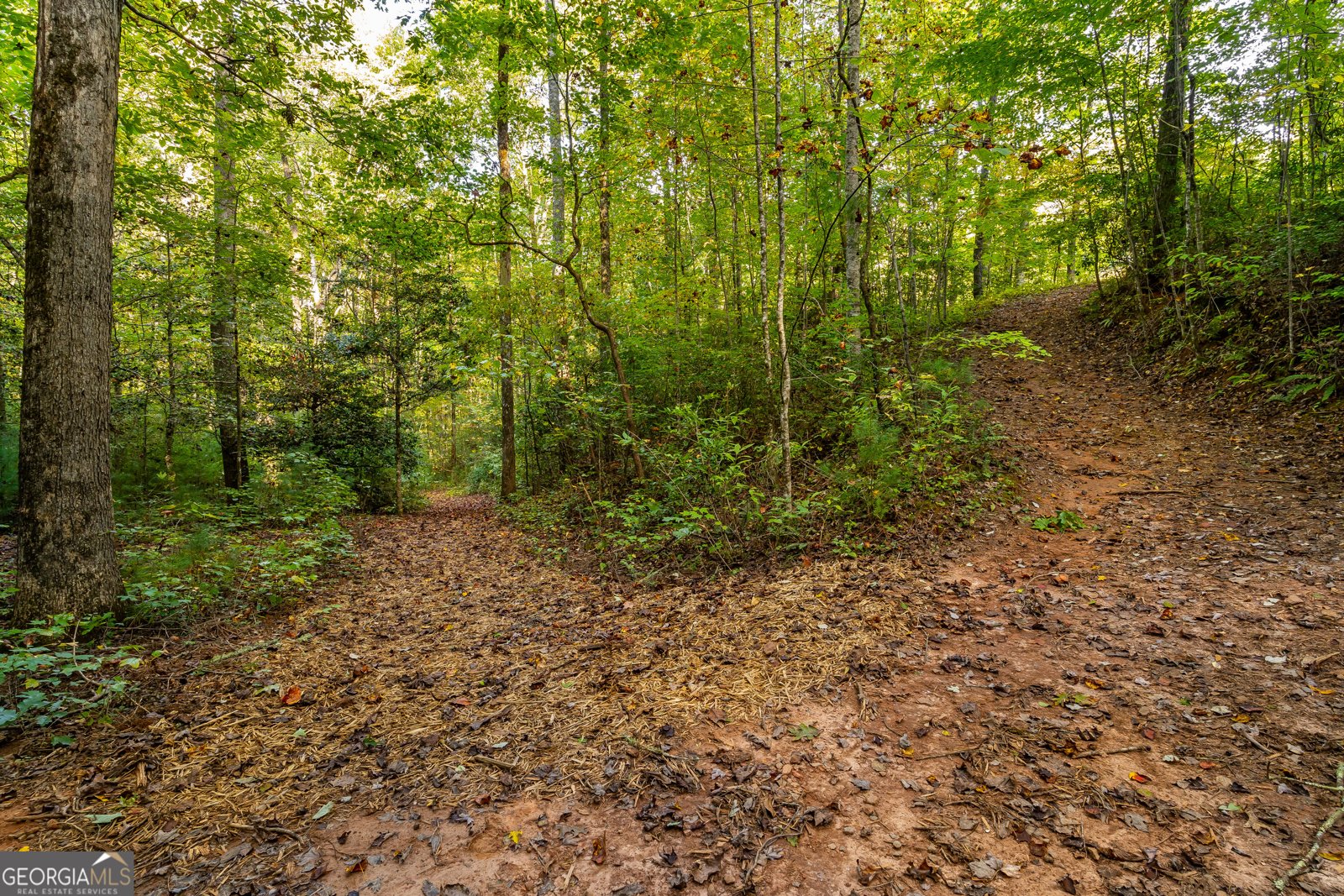 887 Whitecliff Drive Ellijay - Photo 50
