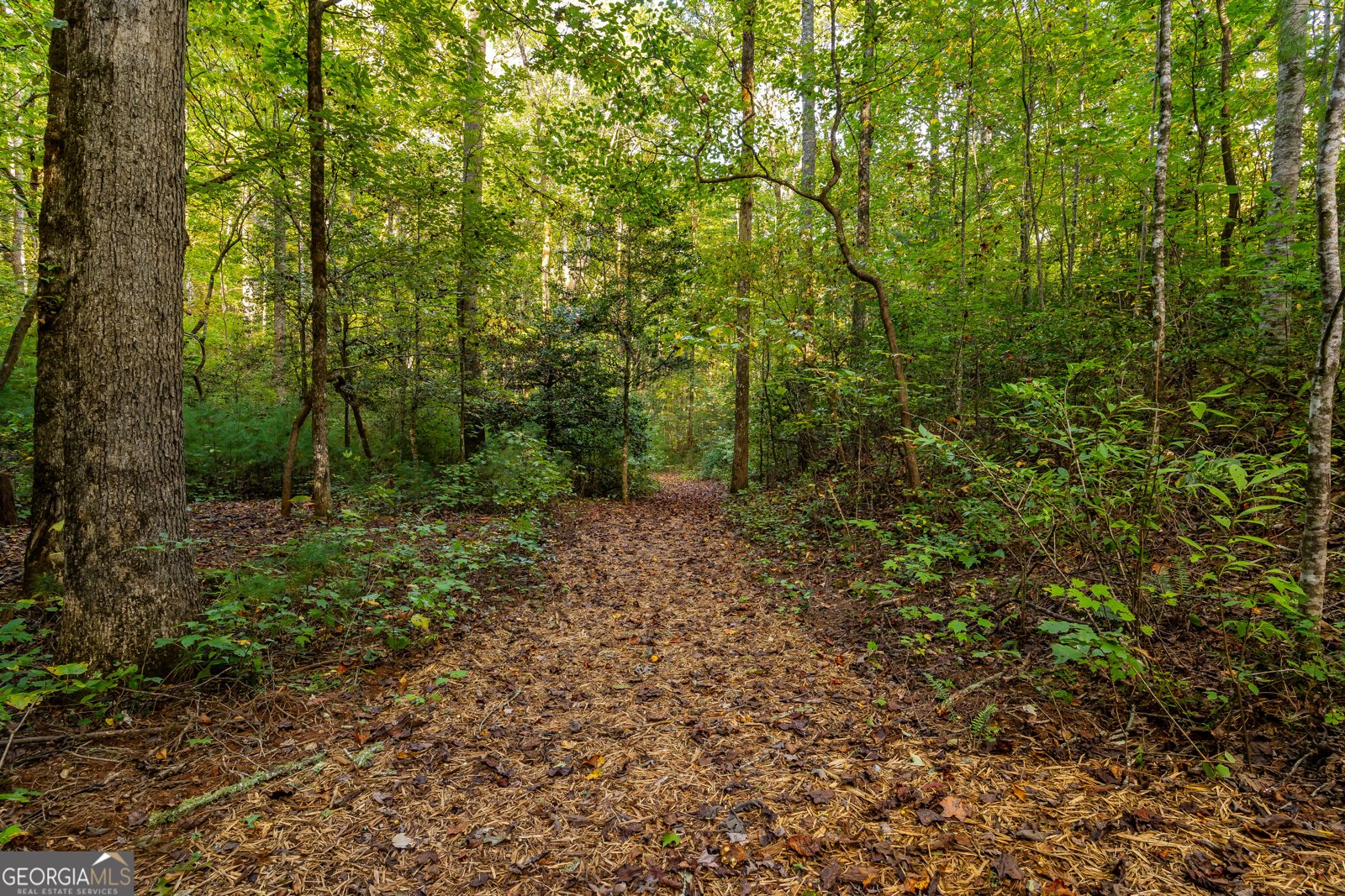 887 Whitecliff Drive Ellijay - Photo 51