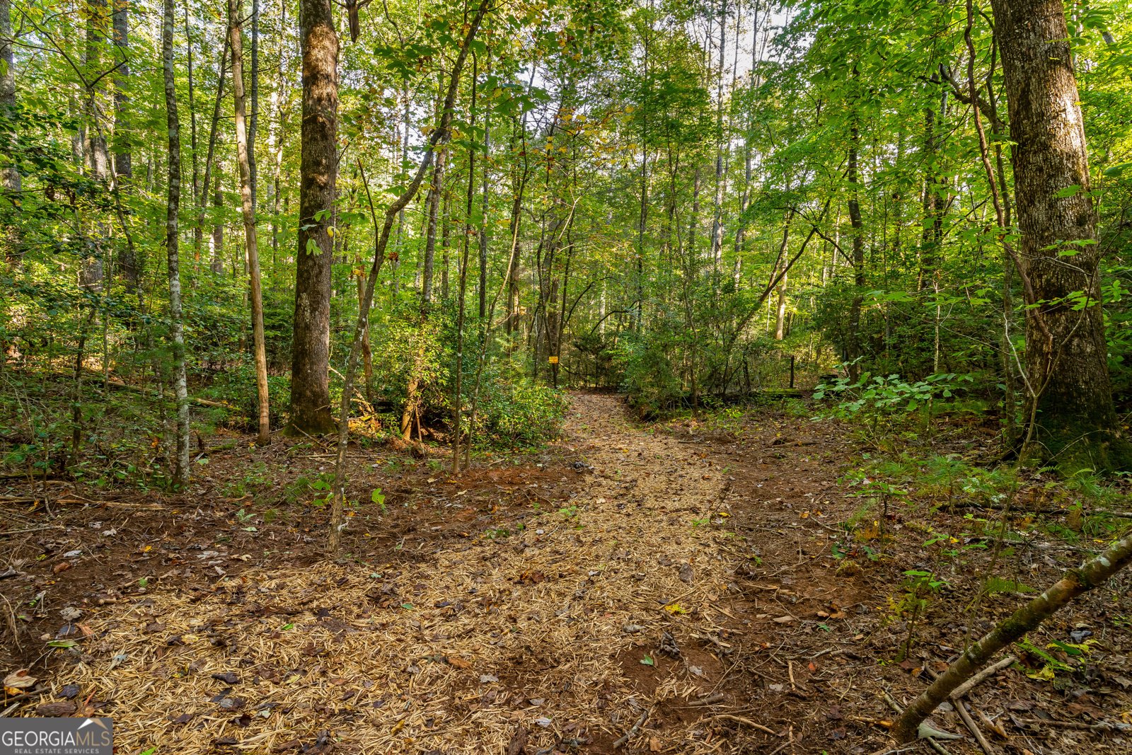 887 Whitecliff Drive Ellijay - Photo 52