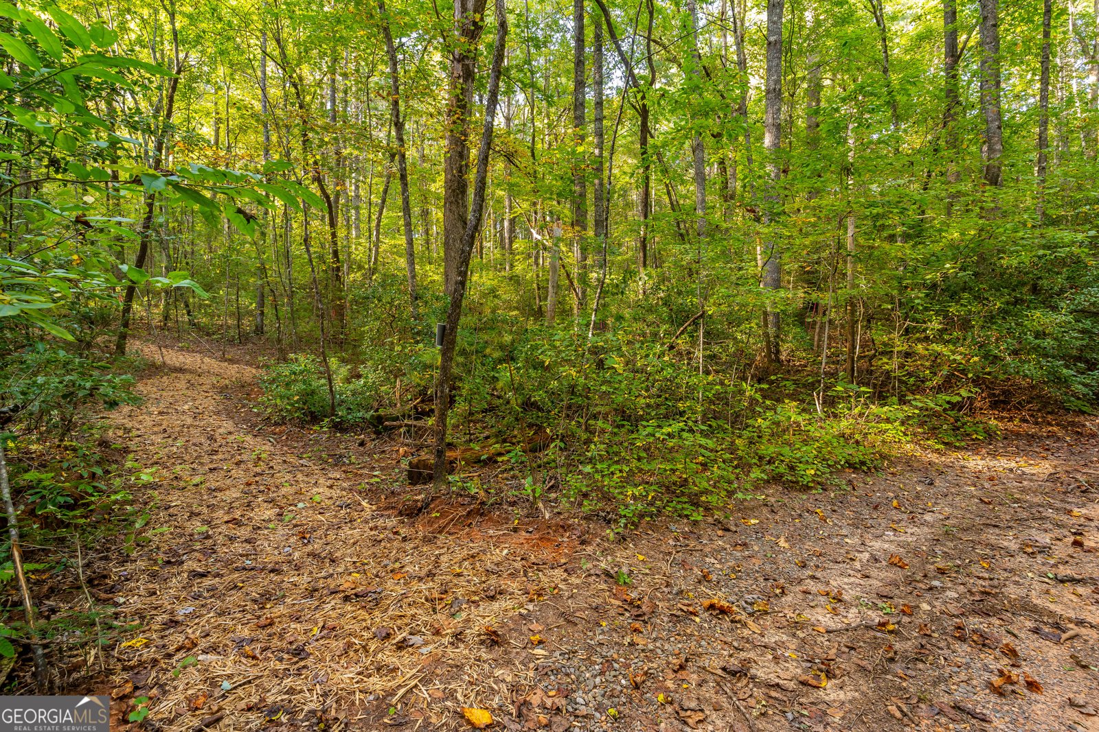 887 Whitecliff Drive Ellijay - Photo 54