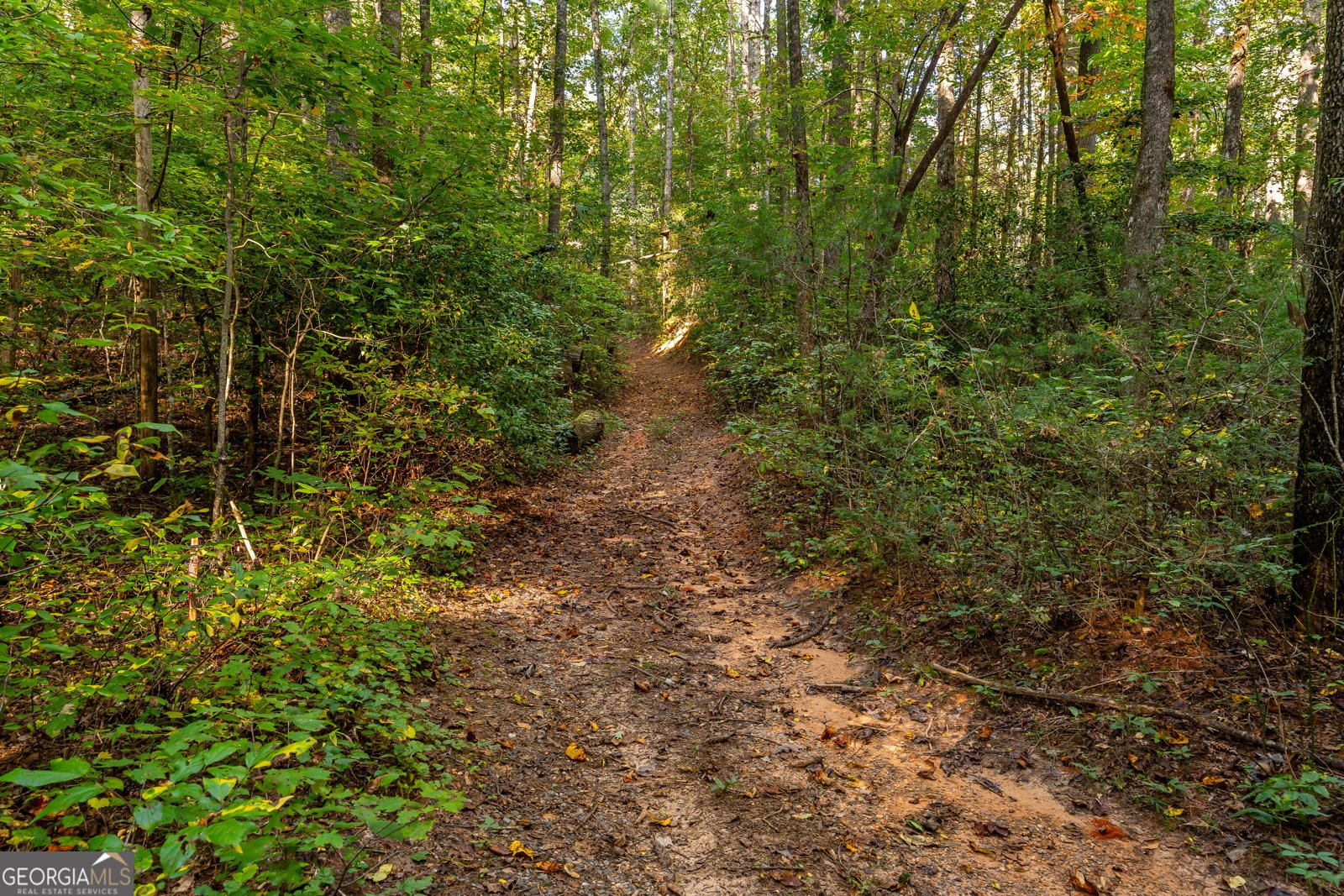 887 Whitecliff Drive Ellijay - Photo 55