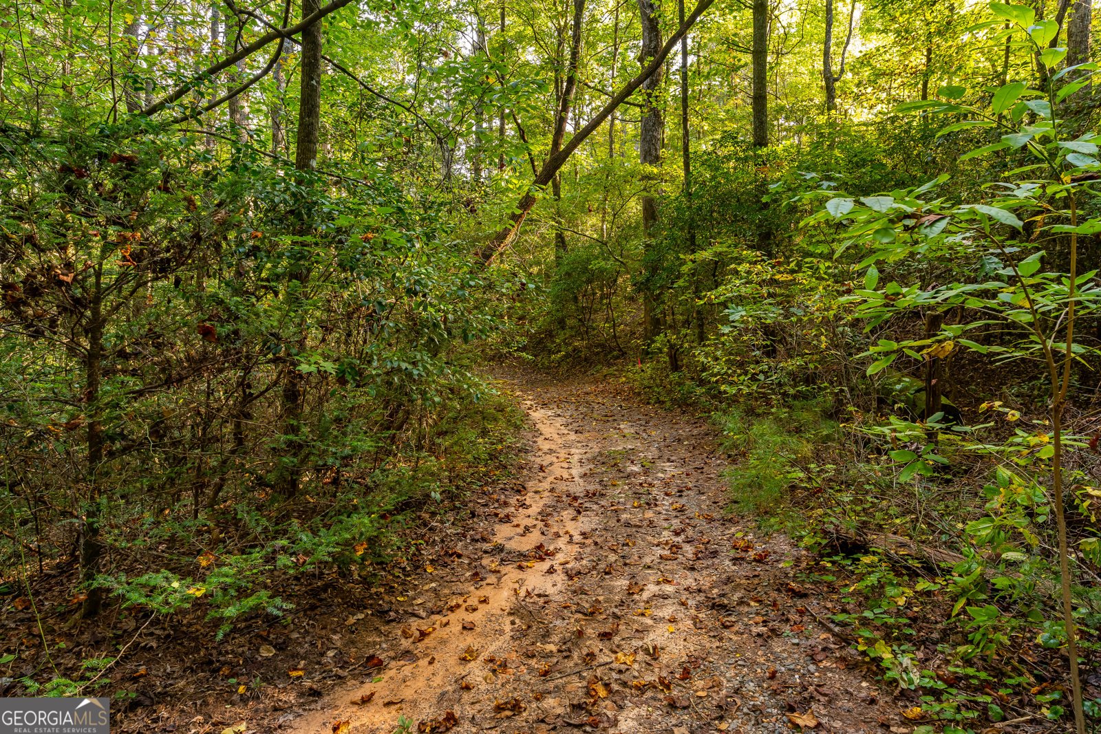 887 Whitecliff Drive Ellijay - Photo 56
