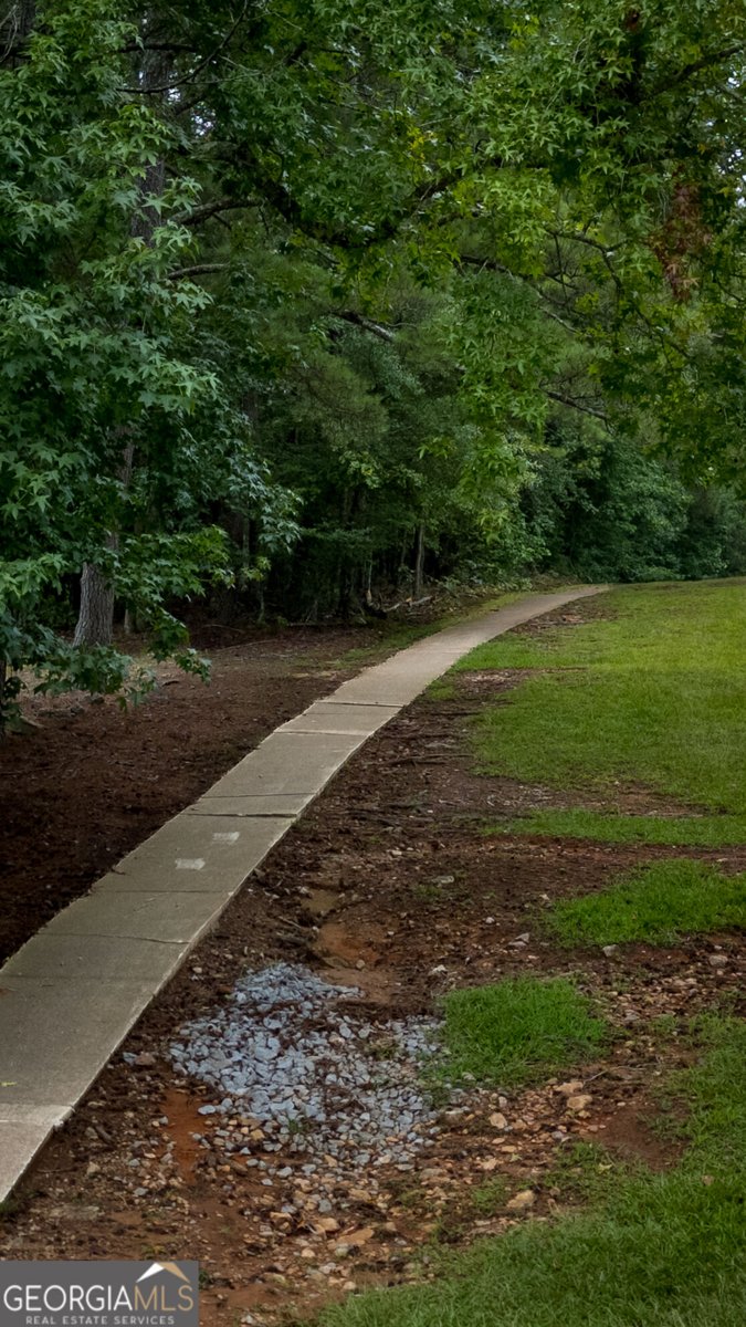 5479 Southern Drive Villa Rica - Photo 33