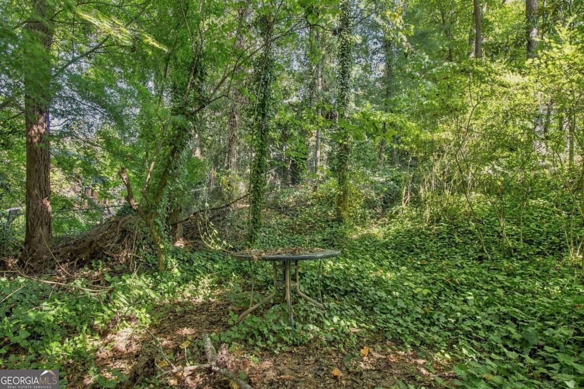 5540 Chemin De Vie Sandy Springs - Photo 45