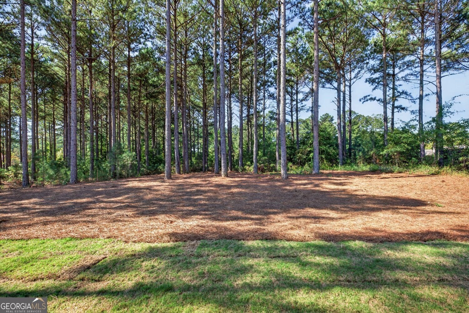 266 Old Yorkville Road Dallas - Photo 7