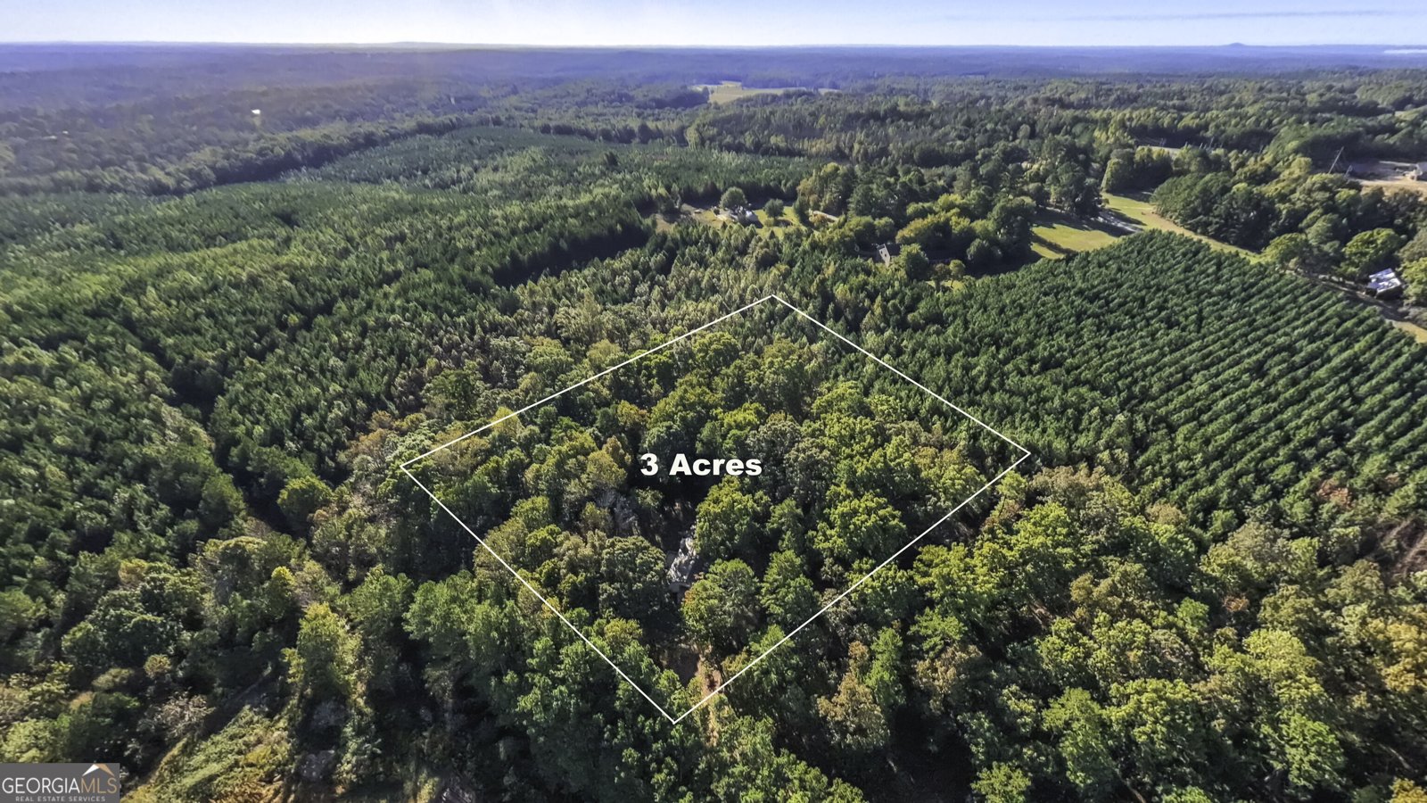 769 GA Hwy 100 Tallapoosa - Photo 47