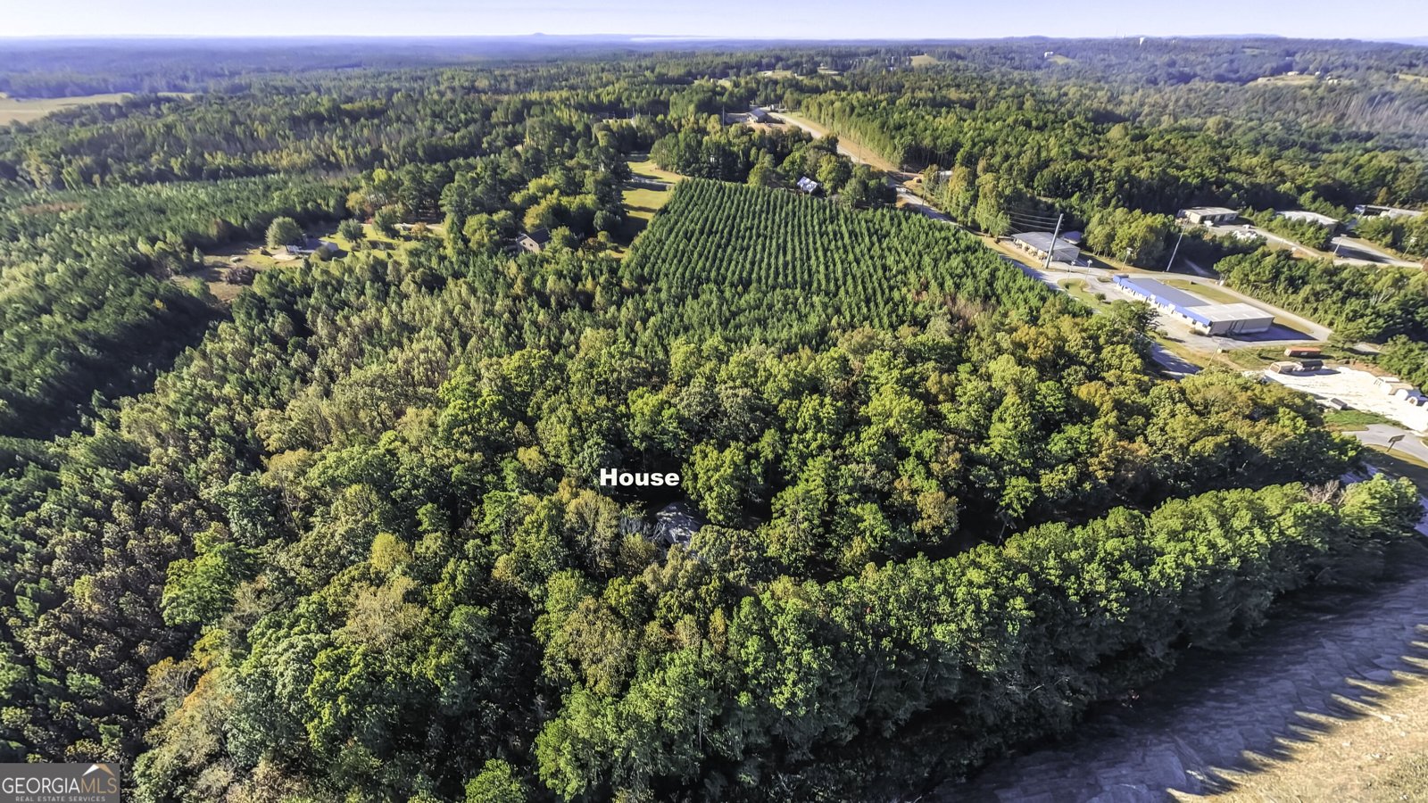 769 GA Hwy 100 Tallapoosa - Photo 48