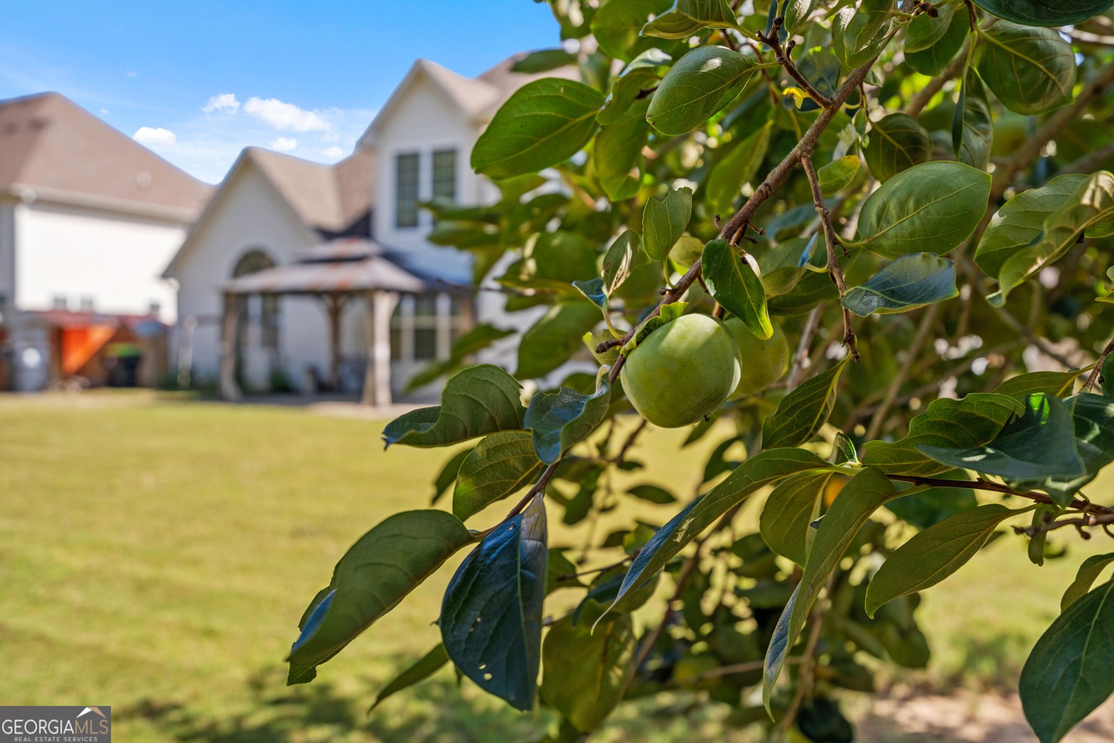 1508 Rolling Meadows Drive McDonough - Photo 46