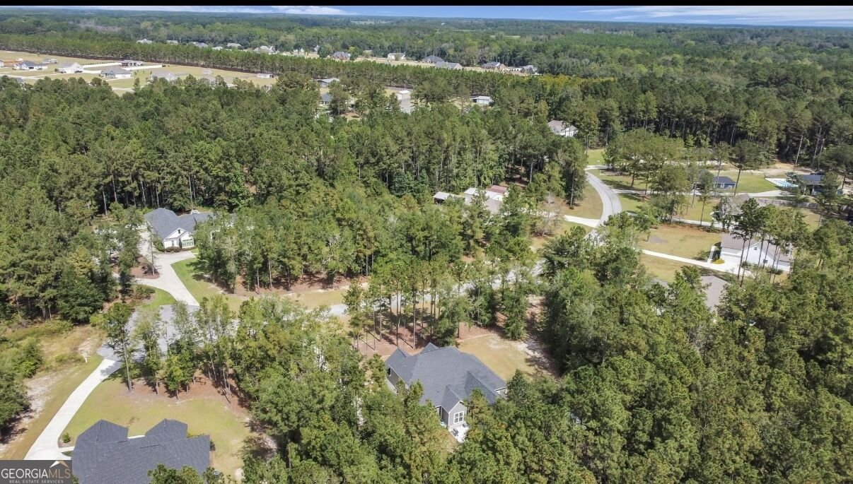 149 Windmill Plantation Drive Statesboro - Photo 49