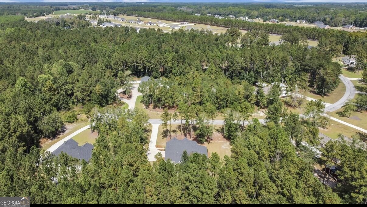 149 Windmill Plantation Drive Statesboro - Photo 50