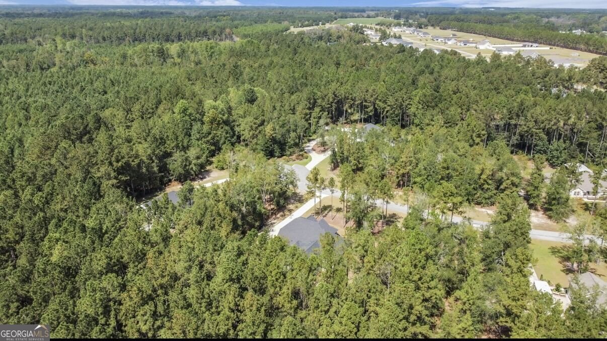 149 Windmill Plantation Drive Statesboro - Photo 51